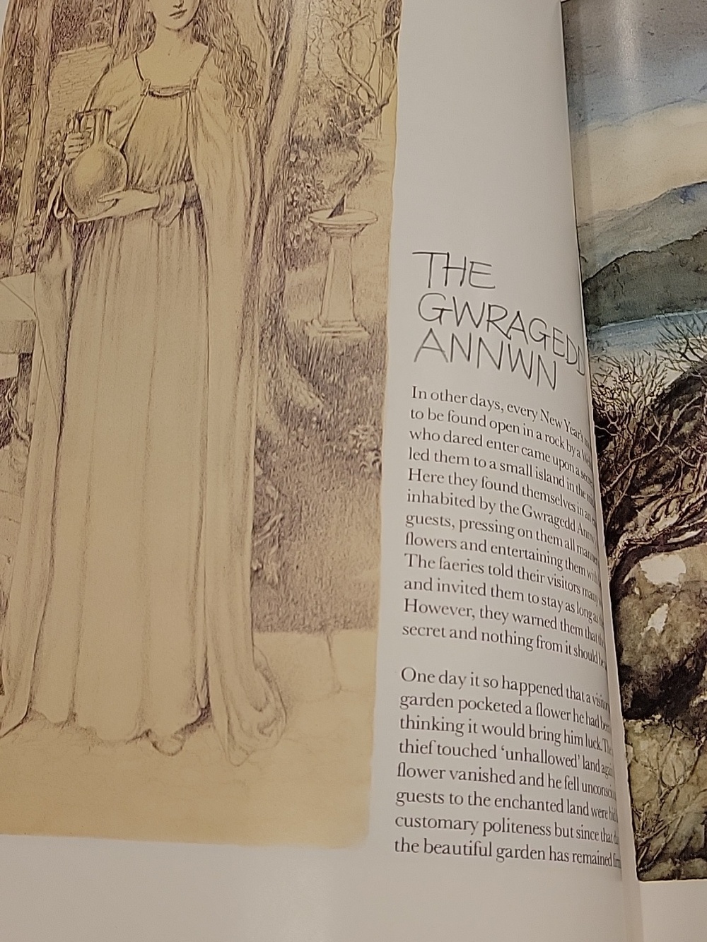 Faeries Illustrated Book - Brian Froud and Alan Lee - Picture 4 of 6